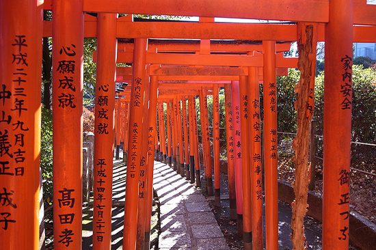 Tokyo City Day Tour | Things to do in Tokyo | Holigoes Travel