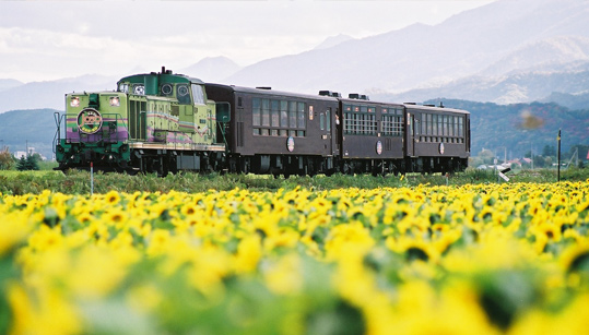Furano & Biei ​Day Tours | Holigoes Travel