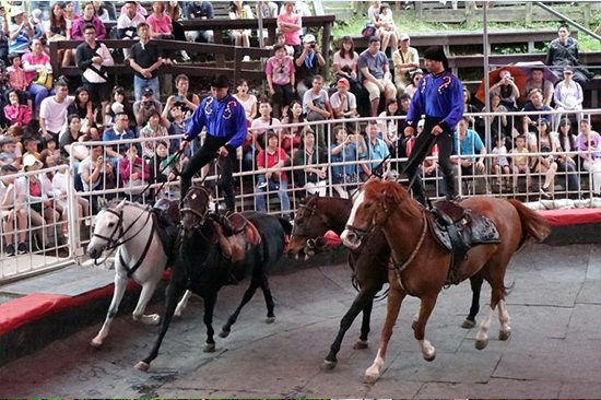 CingJing Farm Day Tour​s | Private CingJing Farm Tour | Holigoes Travel