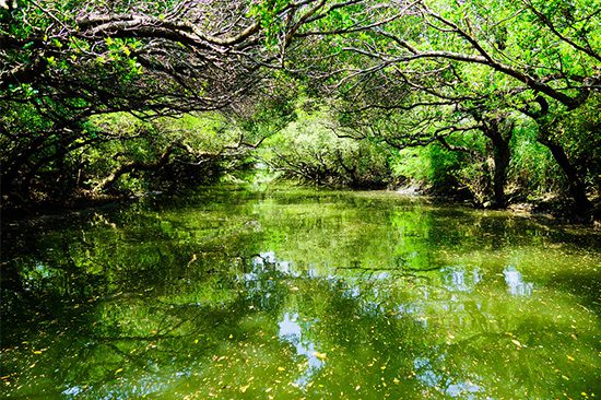 Tainan Day Tour | Things to do in Taiwan | Holigoes Travel