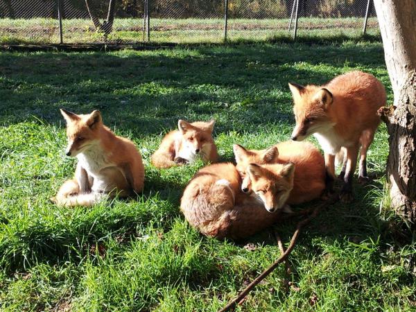 Abashiri Day Tour | Things to do in Hokkaido | Holigoes Travel