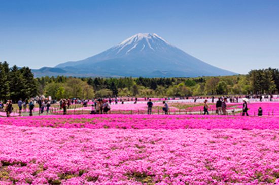 Mount Fuji Day Tour | Things to do in Tokyo | Holigoes Travel