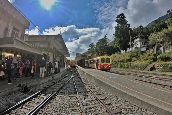 Alishan Day Tour | Things to do in Taiwan | Holigoes Travel