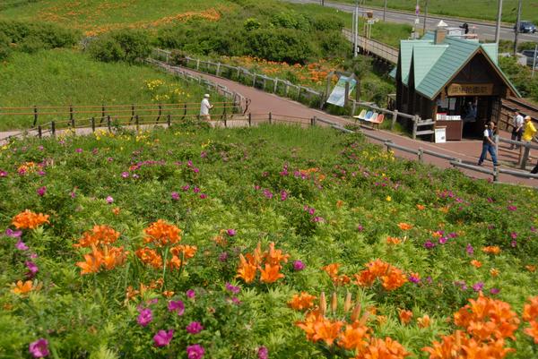 Lake Shiretoko Day Tour | Things to do in Hokkaido | Holigoes Travel