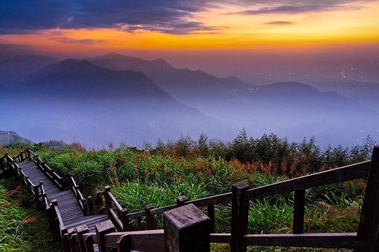 Alishan Day Tours | Things to do in Taiwan | Holigoes Travel