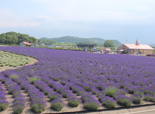 Abashiri Day Tour | Things to do in Hokkaido | Holigoes Travel