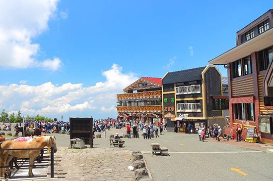 Mount Fuji & Hakone Day Tour | Holigoes Travel