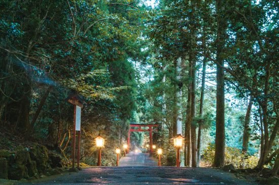 Hakone Day Tours | Holigoes Travel