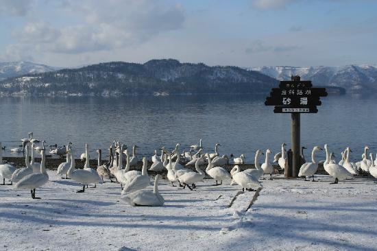 Guided Lake Kussharo Day Tour | Holigoes Travel