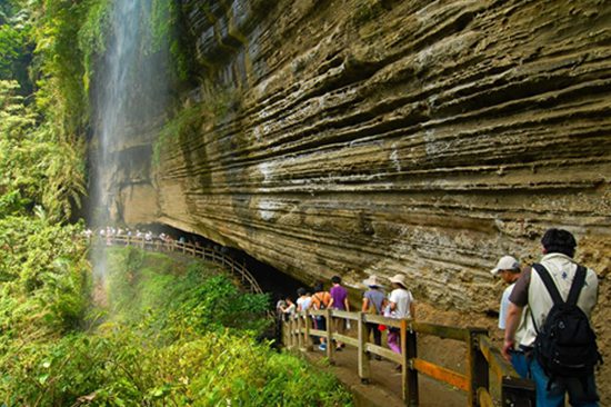 Book a Alishan Day Tour | Holigoes Travel