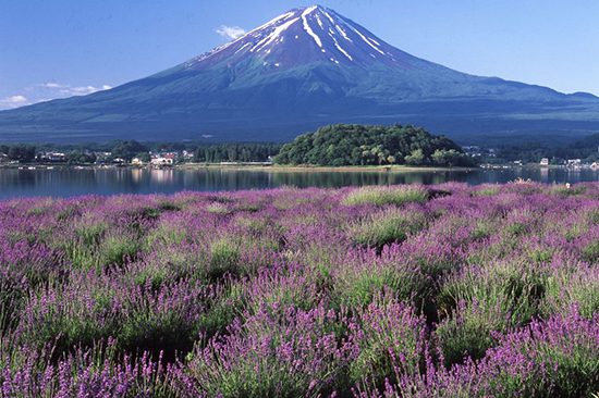 Mount Fuji & Hakone Day Tour | Things to do in Tokyo | Holigoes Travel