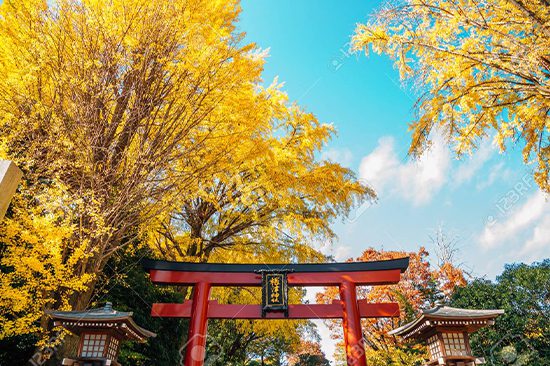 Private Tokyo City Day Tour | Tokyo City Tours | Holigoes Travel