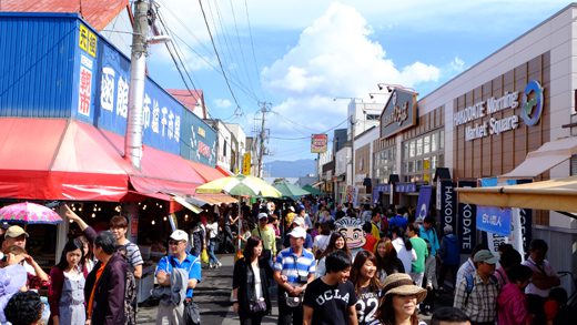 Hakodate Day Tour | Cruise Shore Excursion | Things to do in Hokkaido | Holigoes Travel