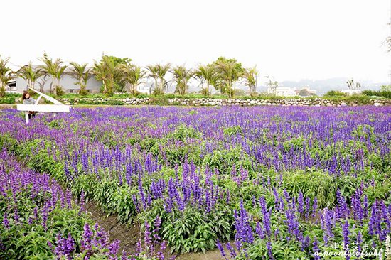 Private Taichung City Day Tours | Holigoes Travel