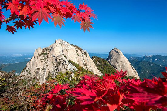 Bukhansan Tour & Sauna Package | Holigoes Travel