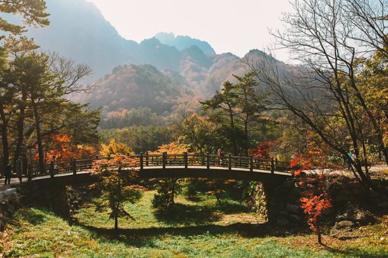 Private Seoraksan National Park Day Tours | Holigoes Travel