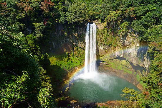 Jeju Island Tour | Holigoes Travel