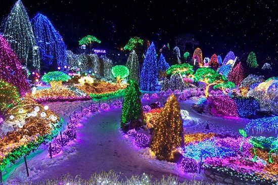 Nami Island, Garden of Morning Calm, Petite France & Rail Bike Tour