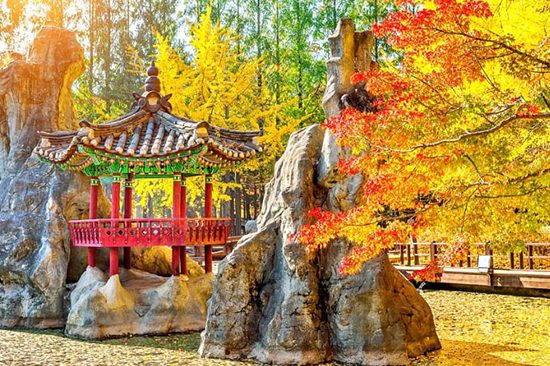 Holigoes Travel | Nami Island, Garden of Morning Calm, Petite France & Rail Bike Tour